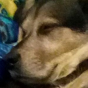 Meet your Posher, Logan